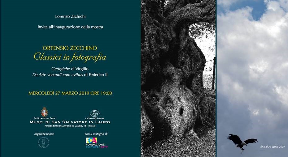 Ortensio Zecchino – Classici in fotografia